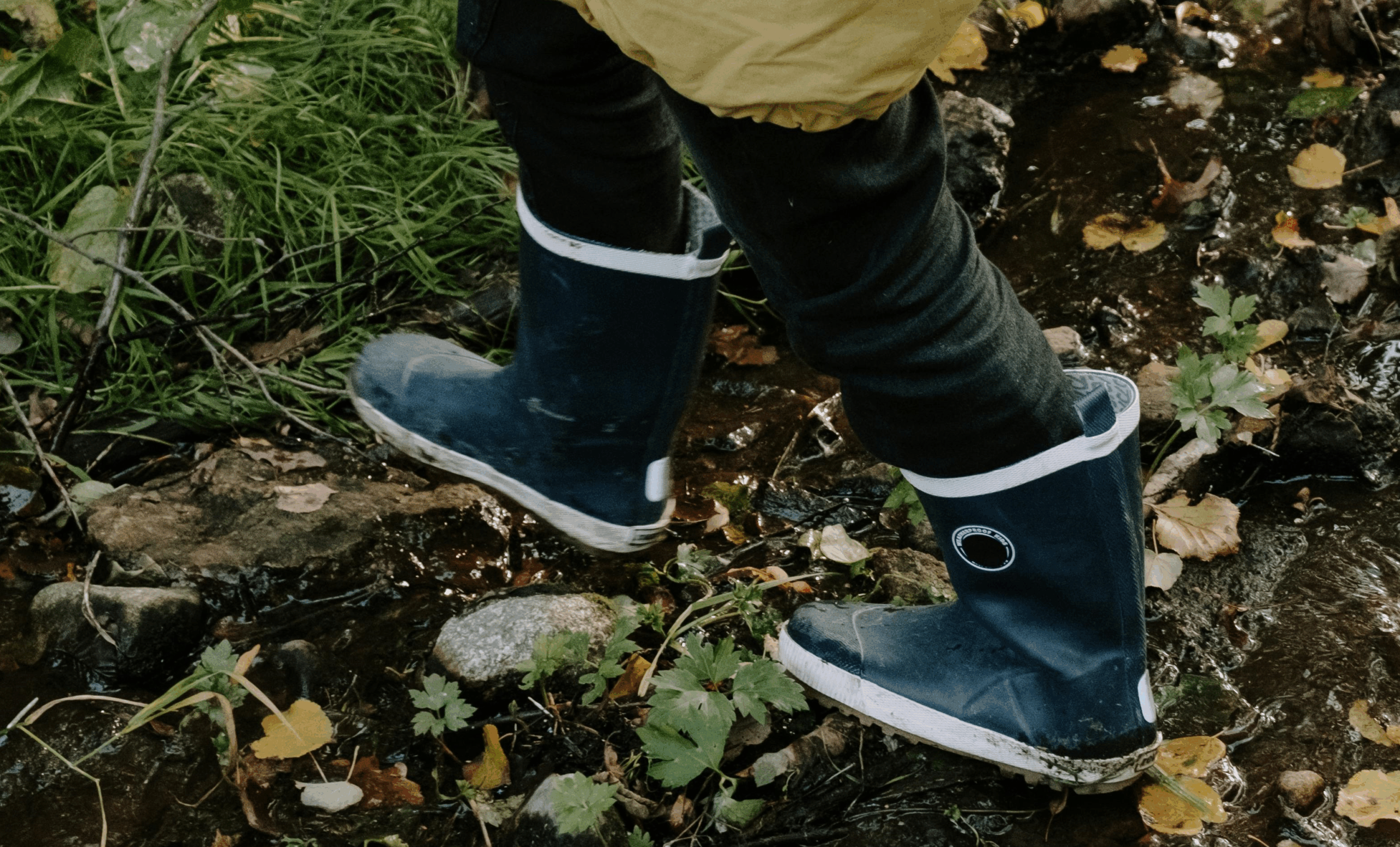 Boots in Nature, Harlow