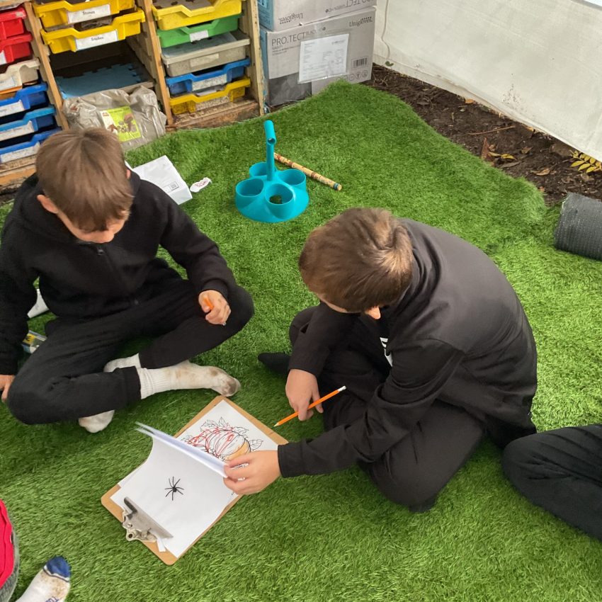 20251021_084709998_iOS